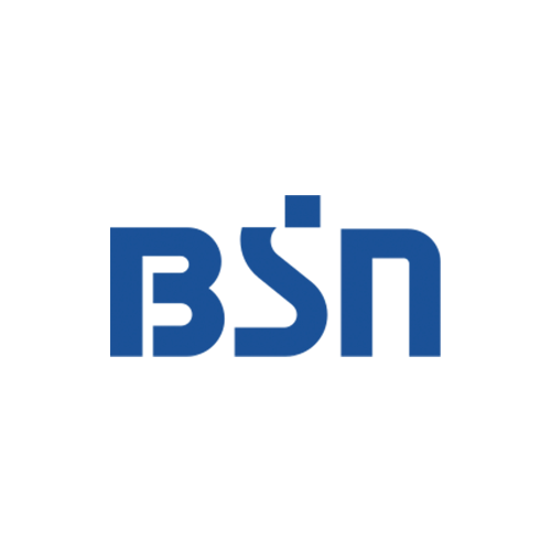新潟放送（BSNラジオ） ロゴ